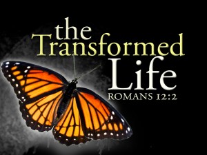 Transformed-Life-title